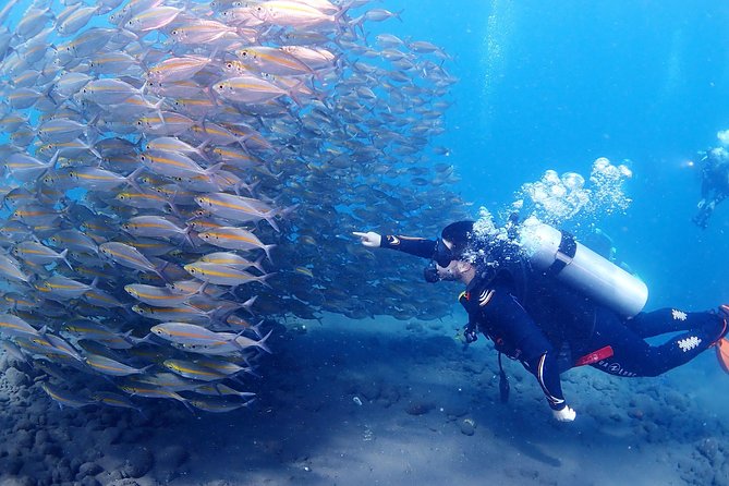 Bali Diving for Beginners: Tulamben Liberty Wreck - Should You Book the Liberty Wreck Experience?