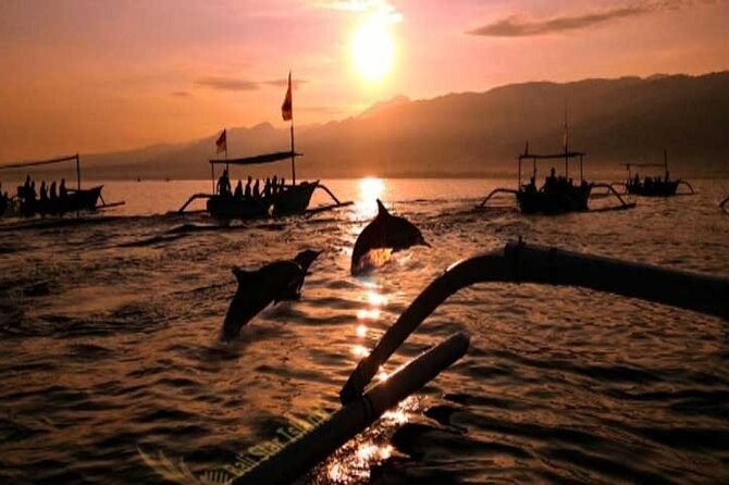 Bali Dolphin Lovina tour and Ulundanu Beratan - What the $75 price really includes