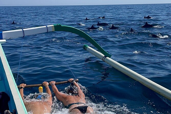 Bali : Dolphin Sunrise Experience Tour Private All Inclusive - Why the 4:30 a.m. departure matters