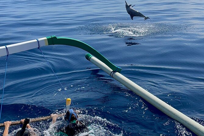 Bali : Dolphin Sunrise Experience Tour Private All Inclusive - Who will get the most from this North Bali day