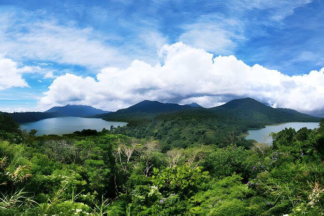 Bali Dolphin Watching Sunrise Tour in Lovina Beach - Lake Tamblingan and Lake Buyan
