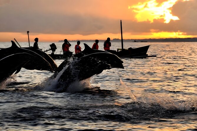 Bali Dolphin Watching Sunrise Tour in Lovina Beach - Is $80 a fair price?
