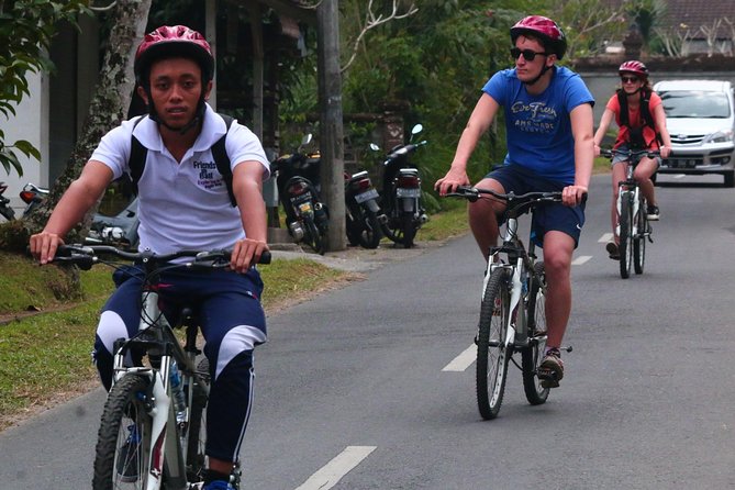 Bali Downhill Cultural Cycling Tour - A Slow Ride Through Villages and Rice Fields
