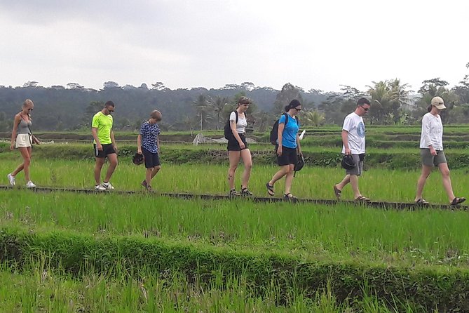 Bali Eco & Educational Cycling Tour - Balinese lunch, snacks, and a coffee break