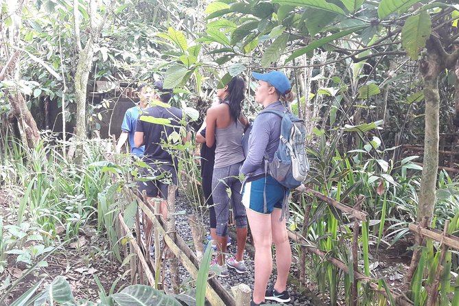 Bali Eco & Educational Cycling Tour - How the timing affects the value