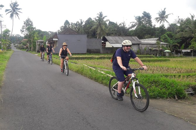 Bali Eco & Educational Cycling Tour - Who will enjoy this tour most