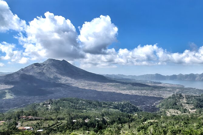Bali Full-Day Car Charter: Ubud and Kintamani Volcano Tour - Ubud Palace and the Art Market