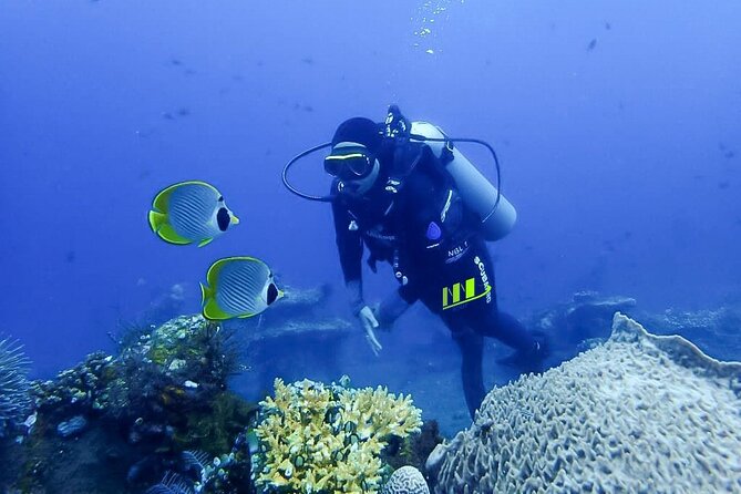 Bali Full Day Experience Scuba Diving Tour at Tulamben - Lunch, rest, and the second session
