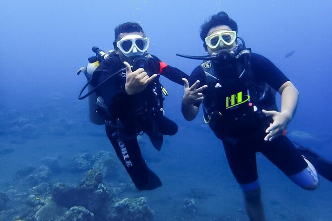 Bali Full Day Experience Scuba Diving Tour at Tulamben - The people who shape the experience