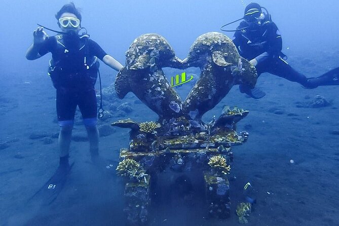 Bali Full Day Experience Scuba Diving Tour at Tulamben - Who should book this Tulamben experience