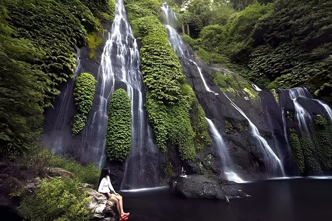 Bali Full-Day Hidden Hills, Twin Waterfalls and Hot Spring Tour - Key points at a glance