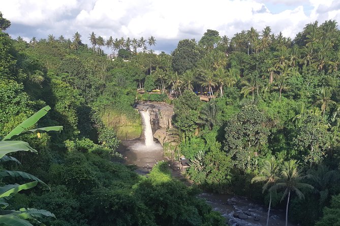 Bali Full Day Holy Water Tour - What the $59 price really gives you