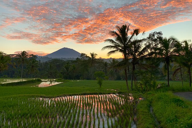Bali Full Day Photography Tour - A Home-Cooked Lunch with a Balinese Family
