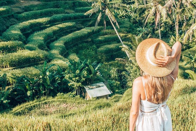 Bali Full-Day Sightseeing Trip with Lunch - Why this private Bali tour works well