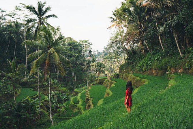 Bali Full-Day Sightseeing Trip with Lunch - Gunung Kawi Sebatu and its 11th-century setting