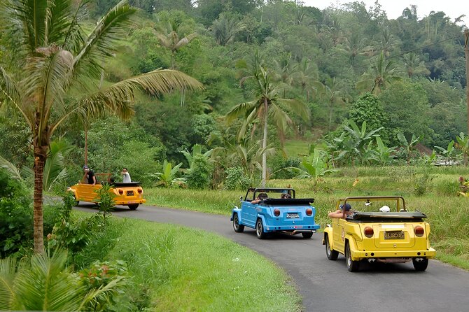 Bali Full-Day The Gate of Heaven Tour by VW Safari Classic Car - Tenganan Village and Bali Aga culture