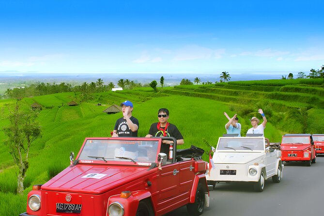 Bali Full-Day The Gate of Heaven Tour by VW Safari Classic Car - Who should book this VW Safari tour