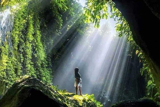 Bali Full Day Tour - East Bali Instagram Tour - Timing, language, and the private vehicle
