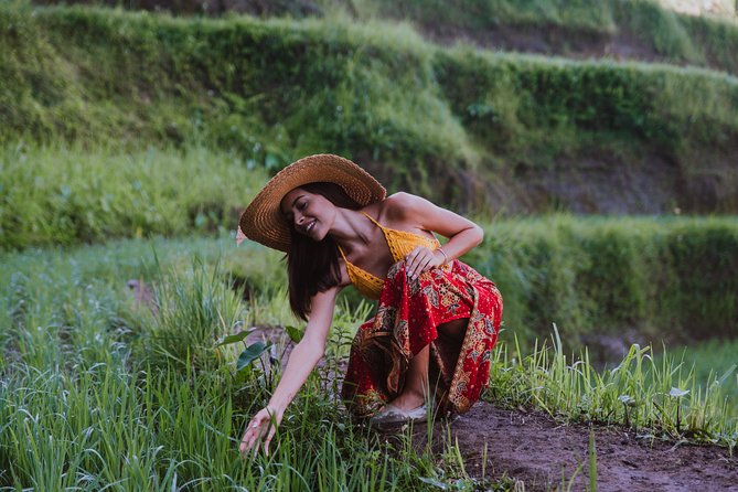 Bali Full Day Tour: Highlights of Ubud and Hidden Waterfall - Five stops that give you a broad taste of Bali