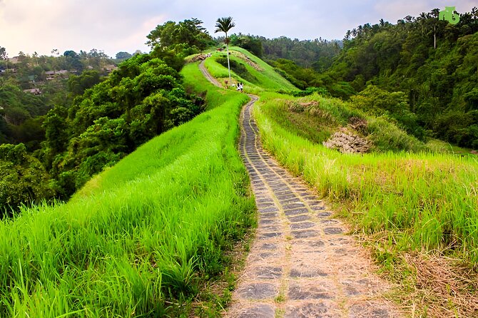 Bali Full Day-Tour: Ubud Sightseeing Trip - Ubud Monkey Forest adds animals and atmosphere