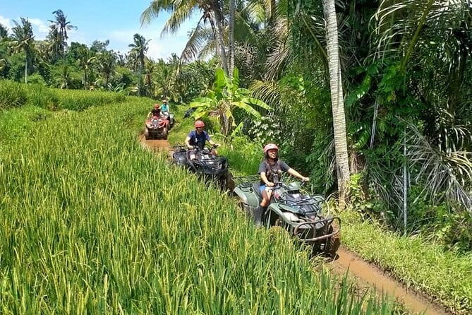 Bali Full-Day Tours : Waterfall and Ubud Destination Trip - What private guiding adds to the day