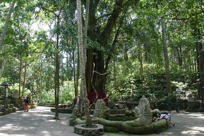 Bali Full-Day Traditional Village Sightseeing Trip All Inclusive - Tegenungan Waterfall closes the sightseeing