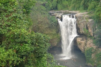 Bali Full-Day Traditional Village Sightseeing Trip All Inclusive