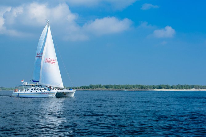 Bali Hai - Aristocat Sailing Cruise - Mushroom Beach gives you several ways to spend the afternoon