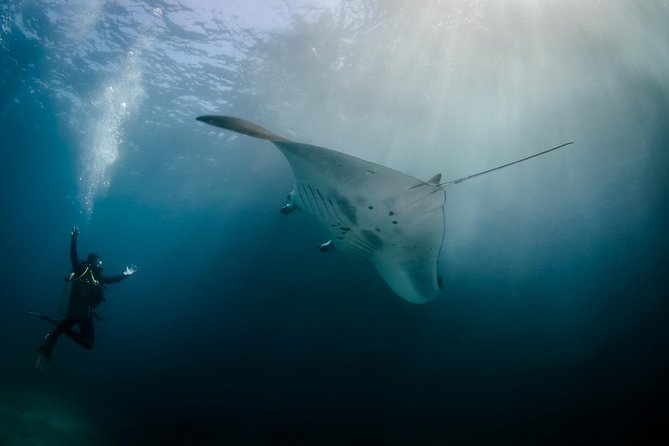 Bali Hai - Reef Cruise - Key points at a glance