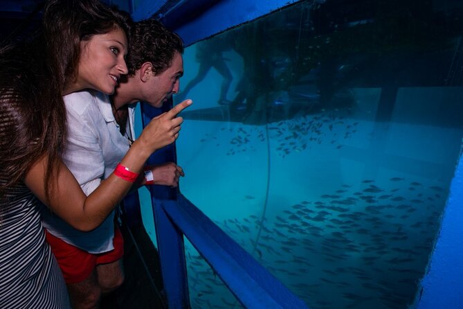 Bali Hai - Reef Cruise - Optional scuba and underwater activities