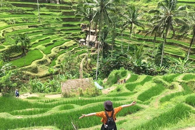 Bali Highlight Private Packages Tours 3 Days - Day one: craft villages, rice terraces, and sacred water