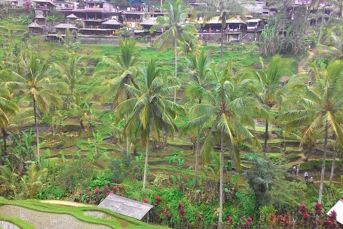Bali Hindu temple, Rice terrace, Waterfall -All Inclusive - Batuan Temple and Bali’s ornate Hindu design