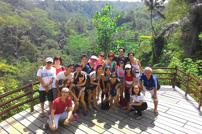 Bali Hindu temple, Rice terrace, Waterfall -All Inclusive - Indonesian lunch beside the rice fields