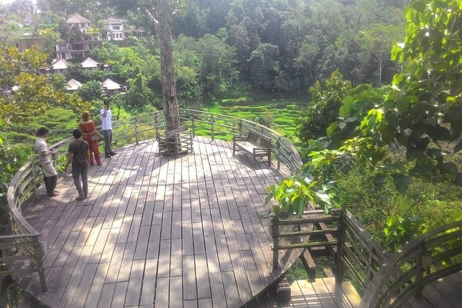 Bali Hindu temple, Rice terrace, Waterfall -All Inclusive - Tegenungan Waterfall, the day’s most active stop