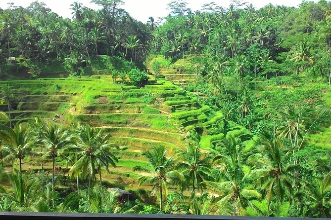 Bali Hindu temple, Rice terrace, Waterfall -All Inclusive - Celuk, batik, and Bali’s craft traditions