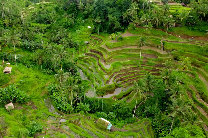 Bali Horse Riding Activity and Full-Day Trip in Ubud - Saba Beach starts the day in the saddle