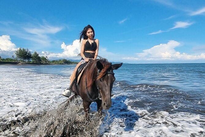 Bali Horse Riding and Turtle Release at Saba Beach - What the Private Vehicle Adds