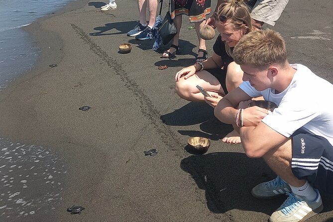 Bali Horse Riding and Turtle Release at Saba Beach - Practical Tips Before You Go