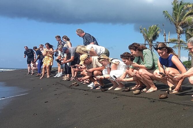 Bali Horse Riding and Turtle Release at Saba Beach - Saba Beach on Horseback