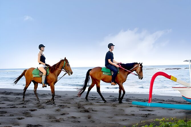 Bali Horse Riding in Saba Bay for 1 Hour with Pick Up Service - Calm Horses and Guidance for First-Time Riders