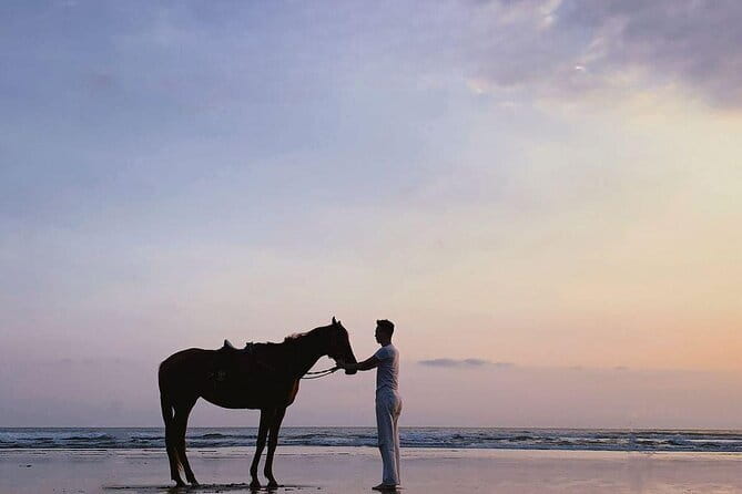 Bali Horse Riding Sanur Beach include Transport - Who will enjoy this ride most