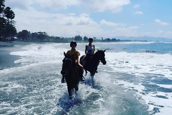 Bali Horse Riding Trot & Canter Saba Beach with Local Temple - Riding beside Saba Beach’s volcanic shore