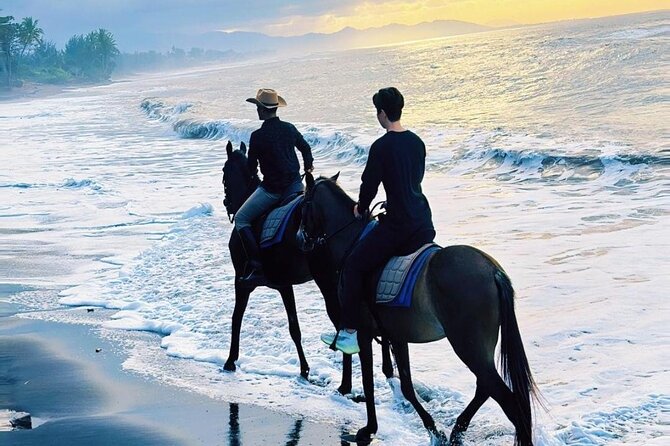 Bali Horse Riding Trot & Canter Saba Beach with Local Temple - Gentle horses, family appeal, and the 90-kilogram limit