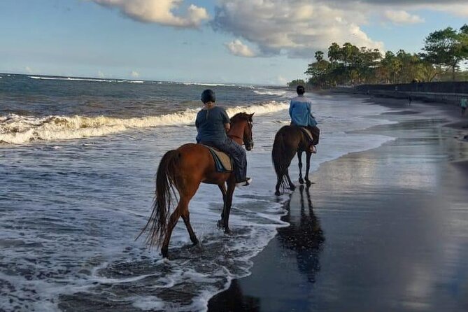 Bali Horse Riding Trot & Canter Saba Beach with Local Temple - Why the guides matter