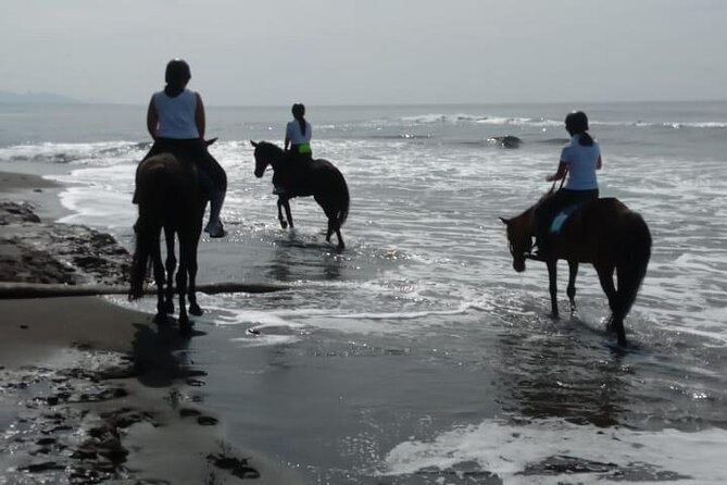 Bali Horse Riding Trot & Canter Saba Beach with Local Temple - The beach, boats, and changing views
