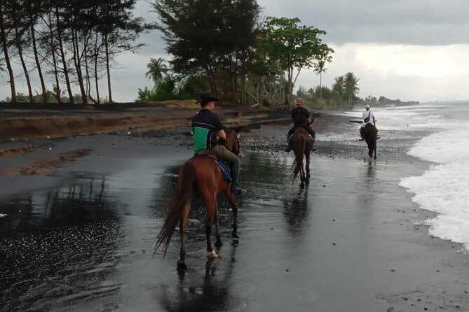Bali Horse Riding Trot & Canter Saba Beach with Local Temple - Is $39 a fair price?
