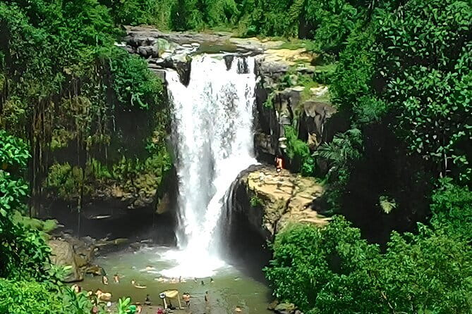 Bali Horse Riding, Waterfall, Rice Terrace, Lunch - All Inclusive - Tegallalang Rice Terraces and the Work Behind Them
