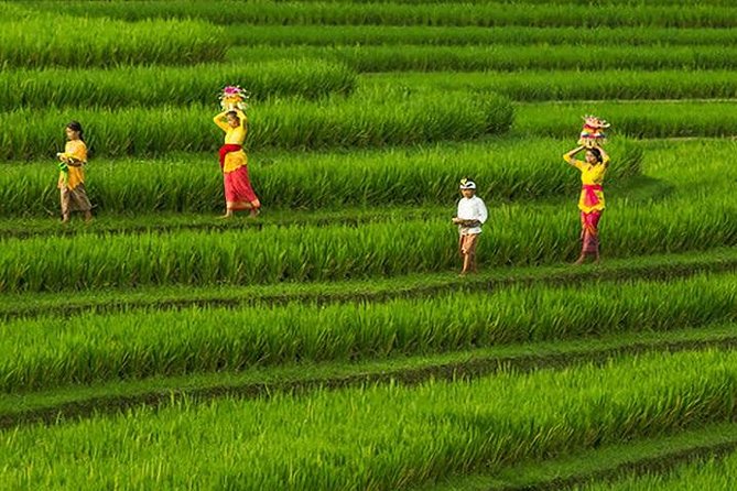 Bali Iconic Tour with Buffet Lunch and Attraction Tickets - Buffet lunch with Mount Batur in the background