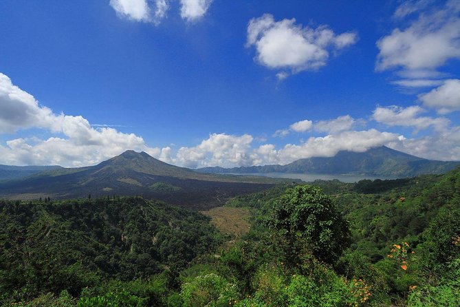 Bali Iconic Tour with Buffet Lunch and Attraction Tickets - Tegalalang Rice Terrace and Bali’s farming country
