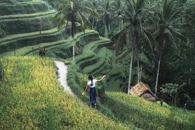 Bali Instagram Tour from Your Hotel (Private & Full-day) - Why the private car matters on Bali’s roads